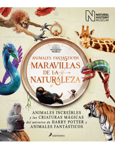 Animales Fantasticos Maravillas de la Naturaleza – Livre