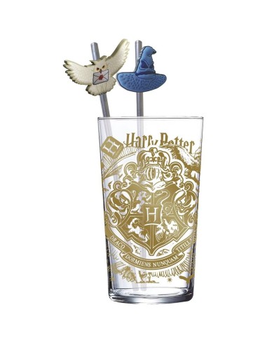 Set Vaso con Pajitas 480 Ml Harry Potter Magic & Mayhem